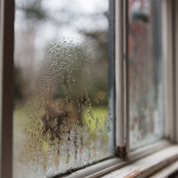 شیشه های ساختمانی