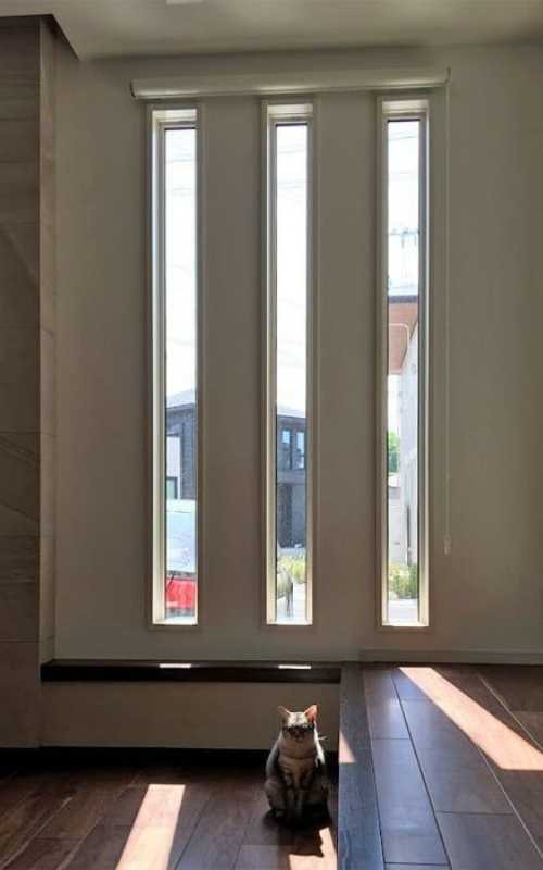 Untitled design (92)